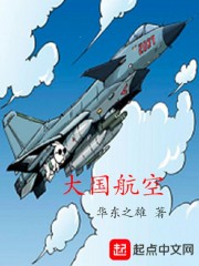 大国航空