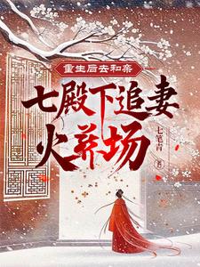 重生后去和亲,七殿下追妻火葬场