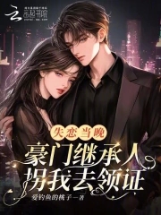 失恋当晚,豪门继承人拐我去领证