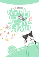 宫中有猫